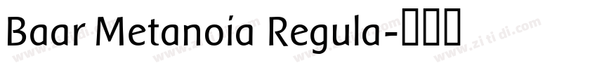 Baar Metanoia Regula字体转换